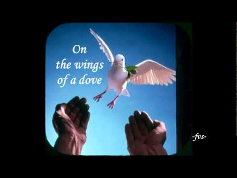 ON THE WINGS OF A  DOVE