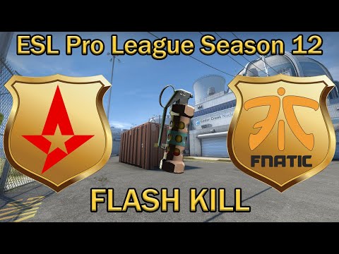 УБИЛИ ФЛЕШКОЙ! es3tag FLASH grenade KILL KRIMZ | Astralis vs Fnatic Nuke | ESL Pro League 12