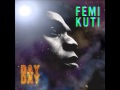 Femi Kuti / Day by Day 