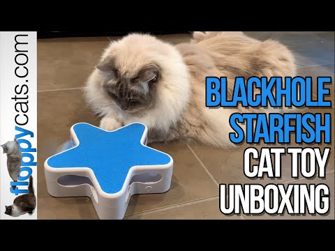 Electronic Cat Toy - Blackhole Starfish ⭐️ Cat Toy Hide and Move Feather Interactive Cat Toy
