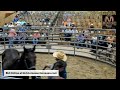 Mize Horse Sale Mize Mississippi