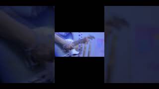 【#言って。】【#shorts】【#ヨルシカ】【#永久機関】#言って。 #ヨルシカ  #前世　プロフよりYouTube fullへ飛べます！ #キタニタツヤ