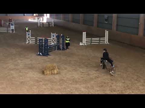 Tilly och Maggie Lätt B Ronneby Horse Center 26/2-21