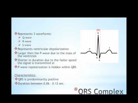 EKG Basics.mp4