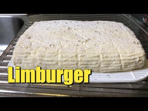 download lagu mp3 mp4 How Is Limburger Cheese Made, download lagu How Is Limburger Cheese Made gratis, unduh video klip How Is Limburger Cheese Made