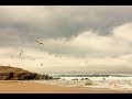 Ocean Waves Sound Seagull Sounds For Relaxation Sleeping Meditation