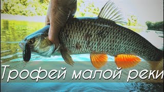Воблеры lucky craft clutch sr