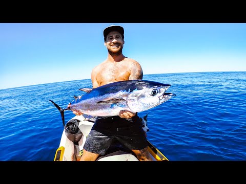My Biggest Tuna Ever Fishing On The Jetski SHARKS Go Crazy (Catch & Cook) - Ep 182