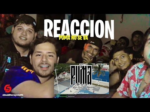 REACCION a EL PUMA NO SE VA - Jey F, El Gudi, Carit BR, Maganhola | Prod by: Flow Nasty