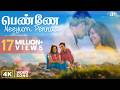 Penne Neeyum Pennaa Full Video Song 4K Priyamana Thozhi Madhavan Jyothika SA Rajkumar