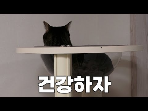 담낭 근황 전달드립니다