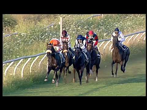 Galoppo 29/07/2020 - 3ª corsa