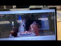 Lady And The Tramp 1955 Sped Up