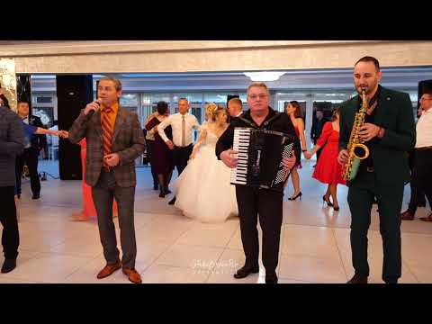 Dumitru Stoicanescu & Formatia  Cristi Neag 🔴 LIVE 🔴 Nunta Alex & Larisa 🔴 NEW 🔴