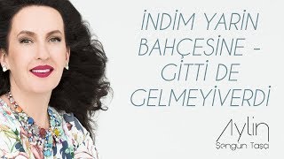 Aylin Şengün Taşçı - 