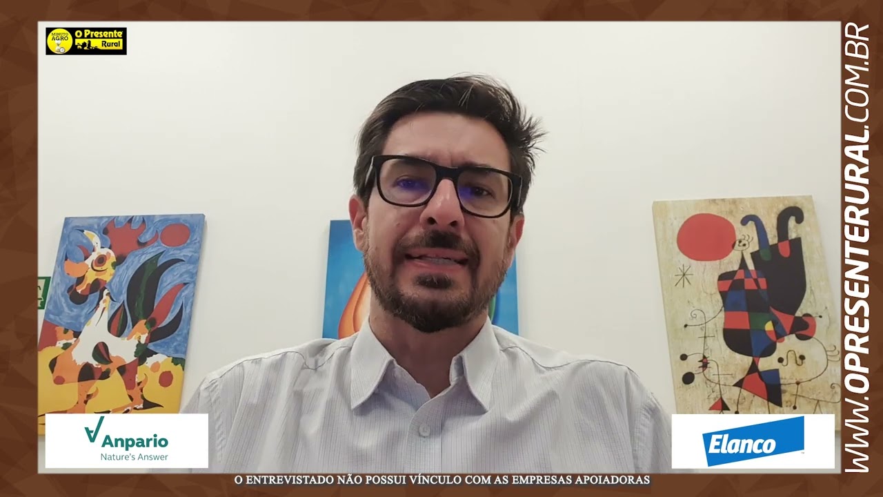 Uso de fibras na nutrição dos monogástricos na dieta de suínos - Minuto Agro Suínos