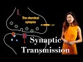 Synaptic Transmission at a Chemical Synapse | Quantal Release of Neurotransmitters
