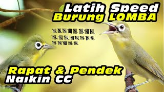 Download lagu Kecial Lomba Speed Pendek #kecialkuninggacor #kecialkombok #kecialngejos mp3 Download lagu Kecial Lomba Speed Pendek #kecialkuninggacor #kecialkombok #kecialngejos mp3