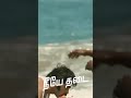 Neeye Oli Motivation Sarpatta Parambarai Whatsapp Status Pa Ranjith Santhosh Narayanan