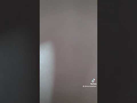 funny video romania top