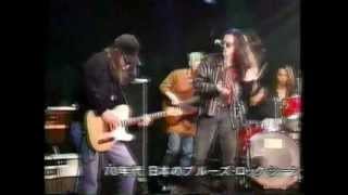 I'm Tore Down - West Road Blues Band