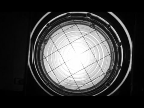 FABULOUS SHEEP - ZOO CLIP