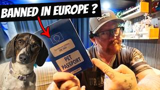 UK/EU Pet Passports 🚨 BREAKING NEWS 🚨