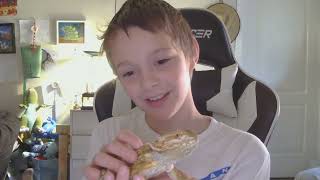 Introduction to my bearded dragon