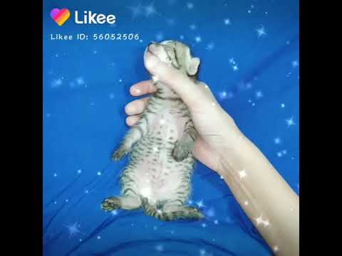 Taare Zameen par 💫💖⭐🌟