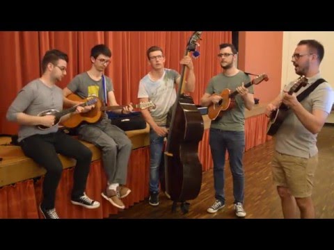 TS Indigo - Da sam im'o šaku dukata (Miroslav Skoro) - Cover