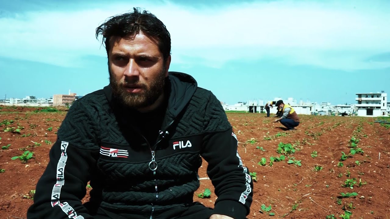 مشروع منظمة طريق الحرير في دعم مزارعي البطاطا في ريفي إدلب وحلب - منظمة طريق الحرير