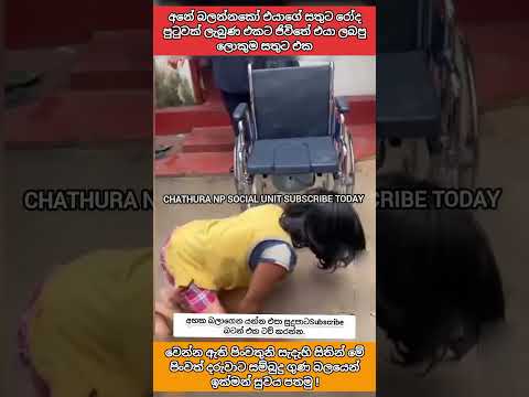 ජිවිතේට ලැබුණ ලොකුම සතුට#buddha #shorts #viral #trending #subscribe #srilanka #lordbuddha