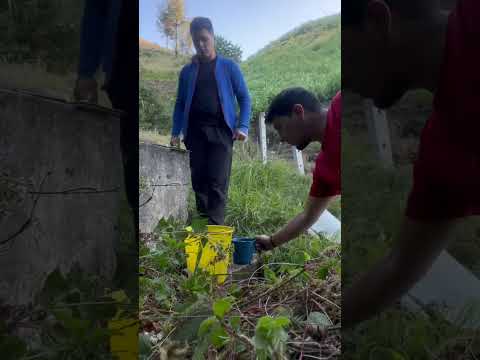 Una cifra puede mostrar un problema, pero el territorio permite comprenderlo. Visitar las comunidade