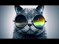 Funky Rap / Hip-Hop Instrumental - "Cool Catz ...