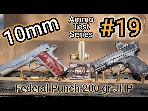 Top 5 Best 10mm Ammo For Self Defense And Hunting