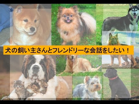 犬のフレーズ