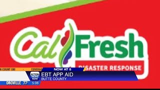 New EBT app, EBTEdge aims to help people get there benefits with ease