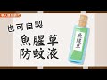 睡到一半被蚊子吵醒？手做無毒中藥防蚊液，夏日驅蚊更加分