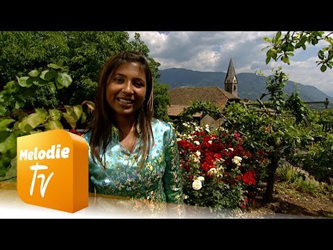 Belsy - Bel a mi (Offizielles Musikvideo)