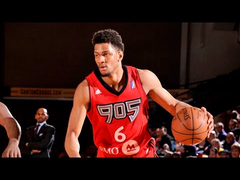 Axel Toupane 2016-17 NBA D-League Season Highlights w/ Raptors 905