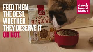 The Honest Kitchen For the Best...and Naughtiest Pups Dog Food | Alarm