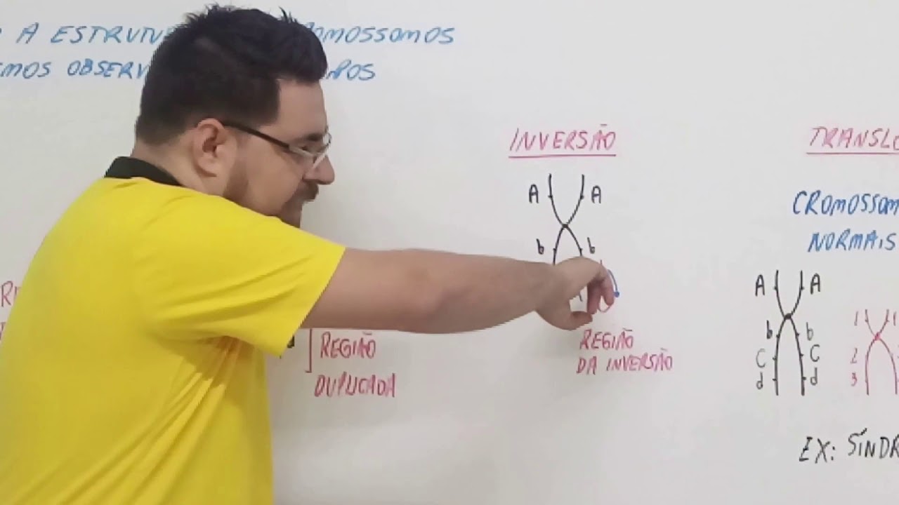 Mutações Cromossômicas Estruturais