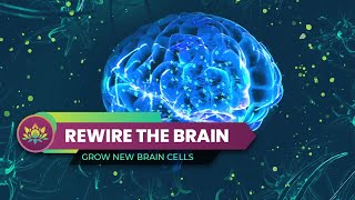 Rewire The Brain - Grow New Brain Cells - Neuroplasticity Music - Unlock Genius