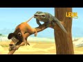 Guard Croc Leon The Lion 75 Compilation Crazy Animals