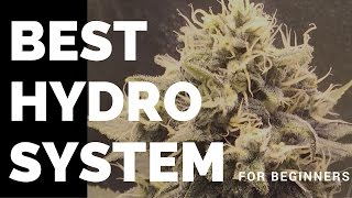 Best Cannabis Hydro System For Beginners