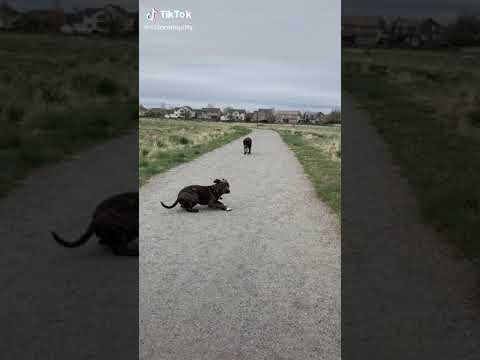 ١٦ أبريل، ٢٠٢٠