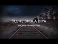 Tujhe Bhula Diya English Translation Mohit Chauhan Shruti Pathak Vishal Shekhar