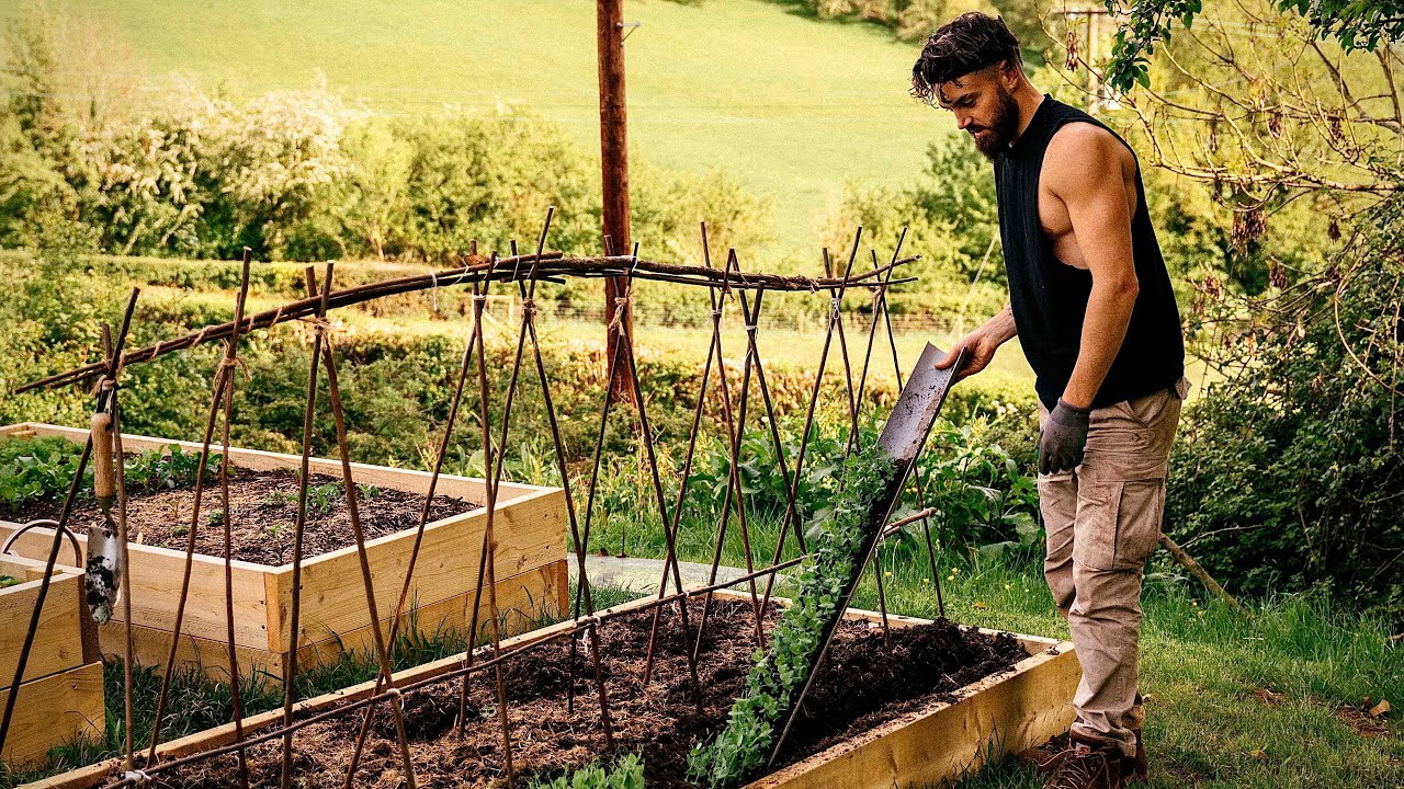 Chef Escaped Covid Lockdown In London To Start A Homestead In The Countryside 👨‍🌾