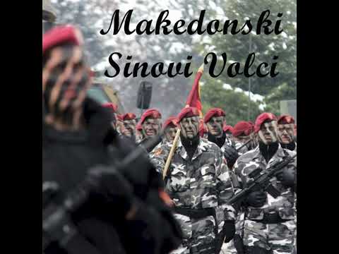 Македонски синови волци / Makedonski sinovi volci