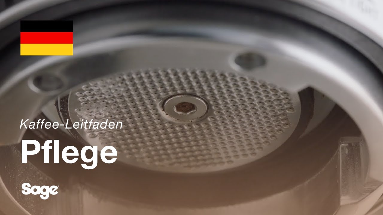 Wie Sie die Dusche reinigen